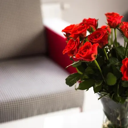 Apartament Skowronia * Krasków